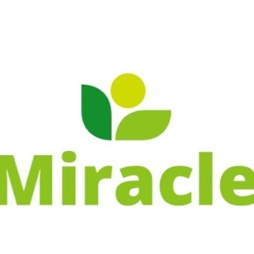 商务服务及咨询